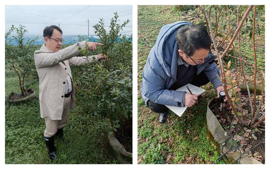 何俊明深耕细耘写活科技兴农大文章